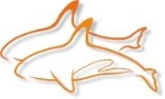 Logo orcas
